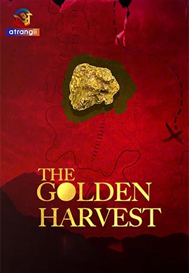 The Golden Harvest | Season 01